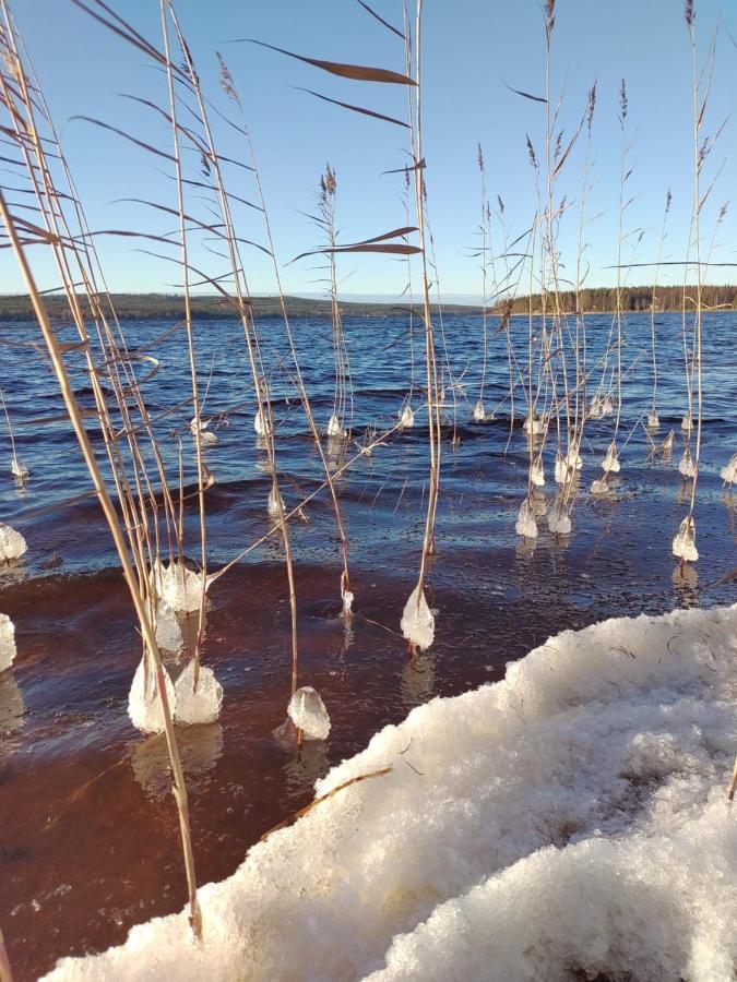 Villanorva Saarenkylä Buitenkant foto