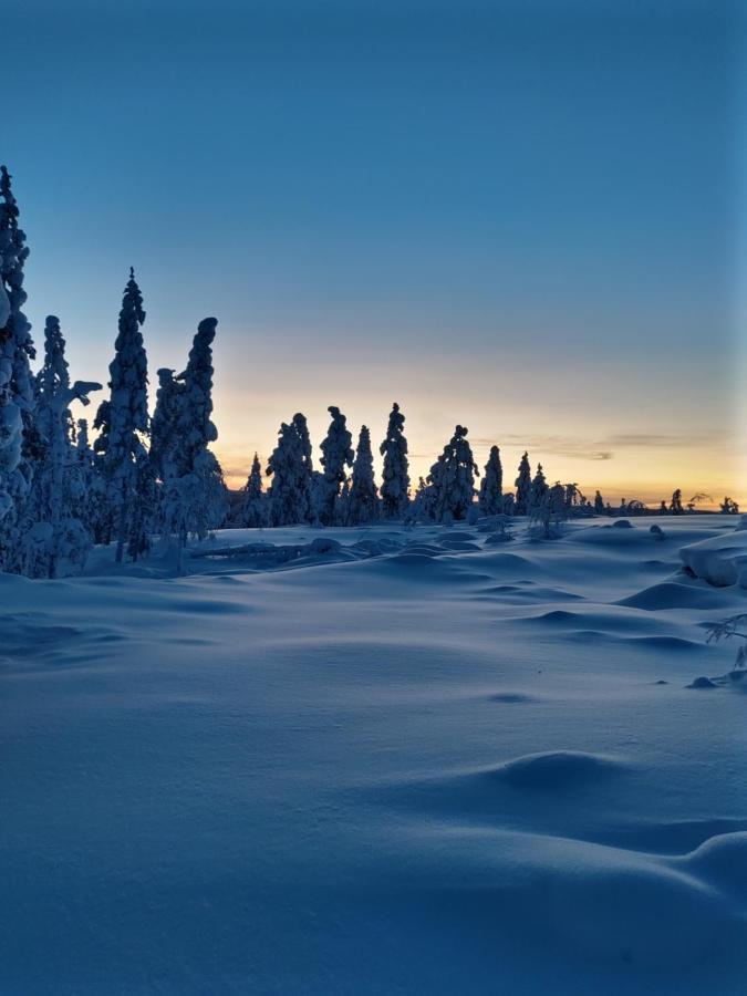 Villanorva Saarenkylä Buitenkant foto